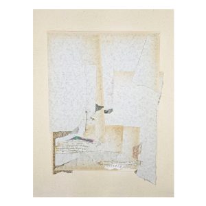 Shredded Poems